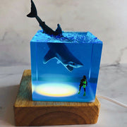 Divers crystal drops handicrafts Nightlight