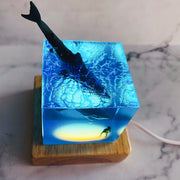 Divers crystal drops handicrafts Nightlight